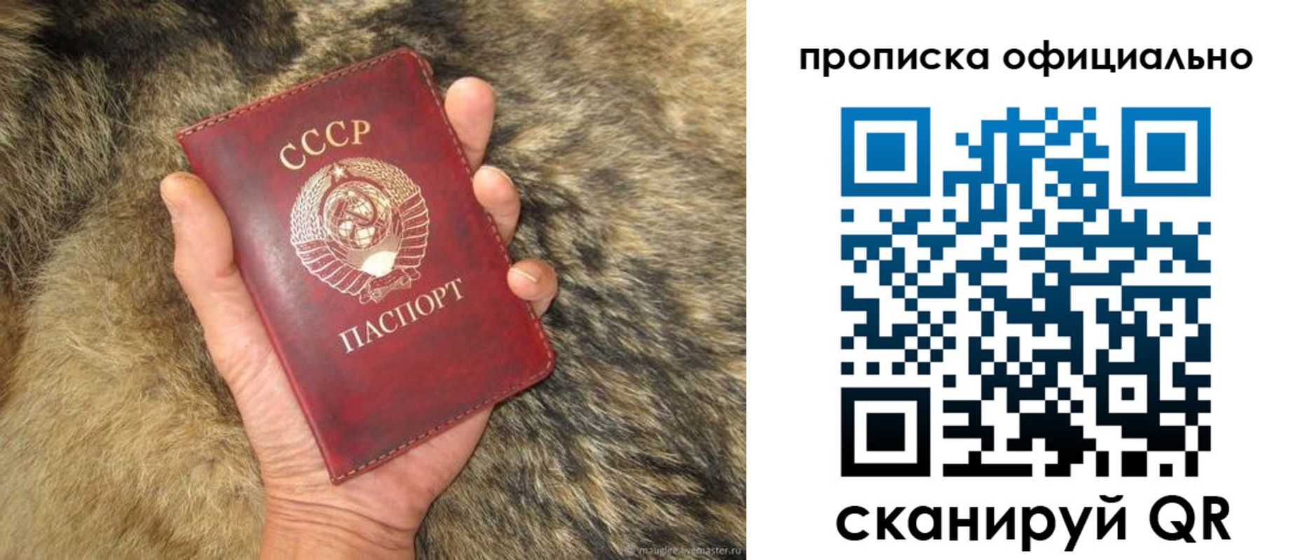 купить прописку в Мыски